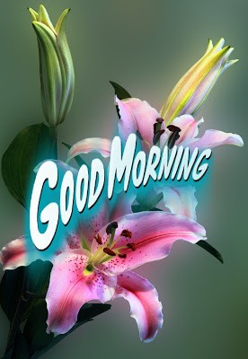 Click image for larger version

Name:	Good-morning-Images%2B%25281%2529.jpg
Views:	69
Size:	29.9 KB
ID:	139591